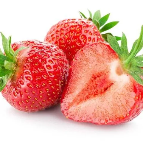 thumbnail for publication: Top Challenges Facing the Florida Strawberry Industry: Insights from a Comprehensive Industry Survey
